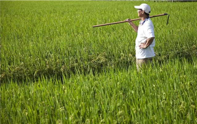 1554190881486947.jpg 6.jpg